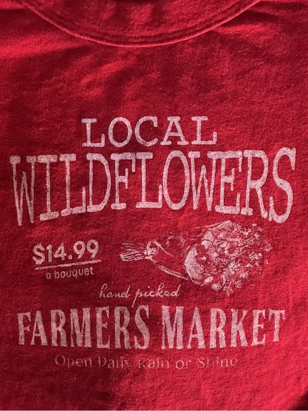 American Eagle Local Wildflowers Farmers Market Graphic T-Shirt Red Medium